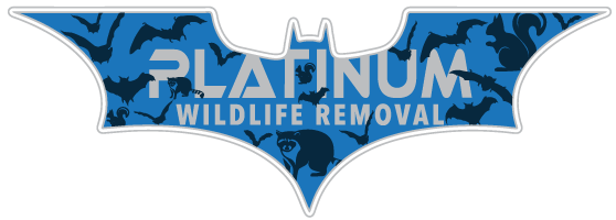 Animal Removal Vanderburgh County